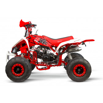 Speedy 125cc Spalinowy Quad 7"