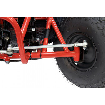 GoKid Racer sport 1000W 36V Go Kart Electric Buggy for Children