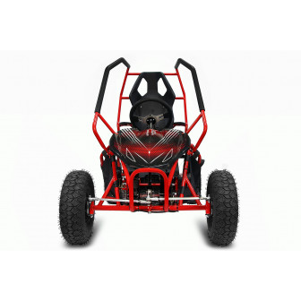 GoKid Racer sport 1000W 36V Go Kart Electric Buggy for Children
