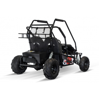 DUŻY BUGGY ELEKTRYCZNY 1000W 60V 2 osobowy