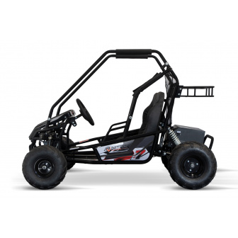 LARGE ELECTRIC BUGGY 1000W 60V 2-seater