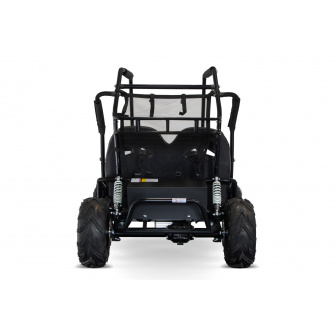 LARGE ELECTRIC BUGGY 1000W 60V 2-seater