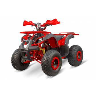 TORONTO 1000W 8' 48V Electric Quad Bike for Children