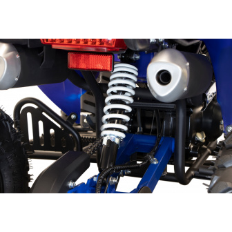 Combustion quad Warrior automatic wheels 8 125 cc RS8-A Sport