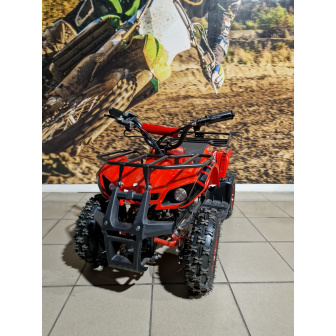 Torino 800W 36V Electric Quad Bike for Children