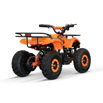 Torino BTF 1000W 48V Electric Quad Bike for Children