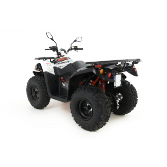 KAYO AU200 T3B Quad Z HOMOLOGACJĄ Kat. B1
