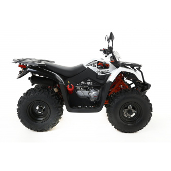 KAYO AU200 T3B Quad Z HOMOLOGACJĄ Kat. B1
