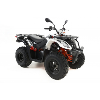 KAYO AU200 T3B Quad Z HOMOLOGACJĄ Kat. B1