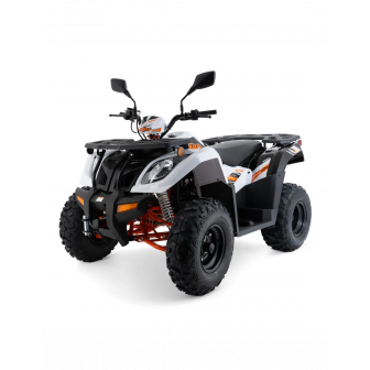 KAYO AU300 T3B Quad z HOMOLOGACJĄ Kat. B1