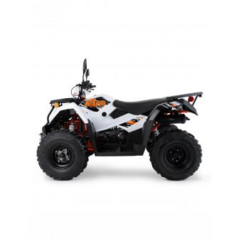 KAYO AU300 T3B Quad z HOMOLOGACJĄ Kat. B1