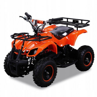 Torino 800W 36V Electric Quad Bike for Children