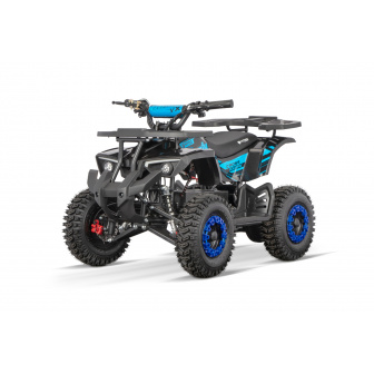 copy of REPLAY 1000 W 36V electric quad