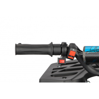 copy of REPLAY 1000 W 36V electric quad