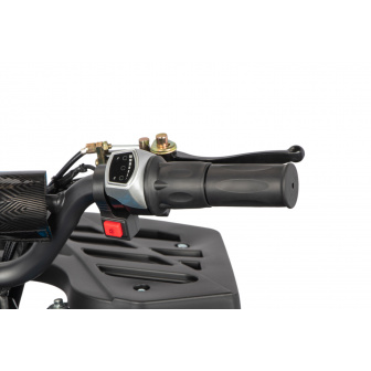 copy of REPLAY 1000 W 36V electric quad