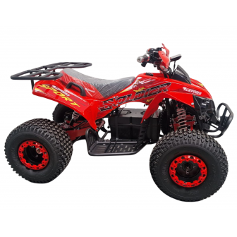 copy of Warrior graffiti 1000W 48V Electric large Quad