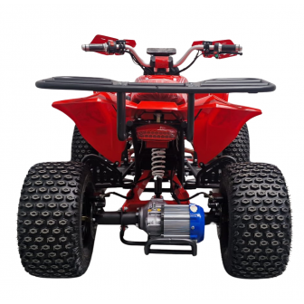 copy of Warrior graffiti 1000W 48V Electric large Quad