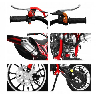 Panther 49 cc Mini Cross 10" dla dziecka