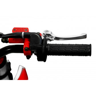 Dorado 110cc SEMI-AUTOMATIC PIT BIKE - CROSS