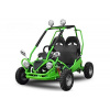 Electric buggy