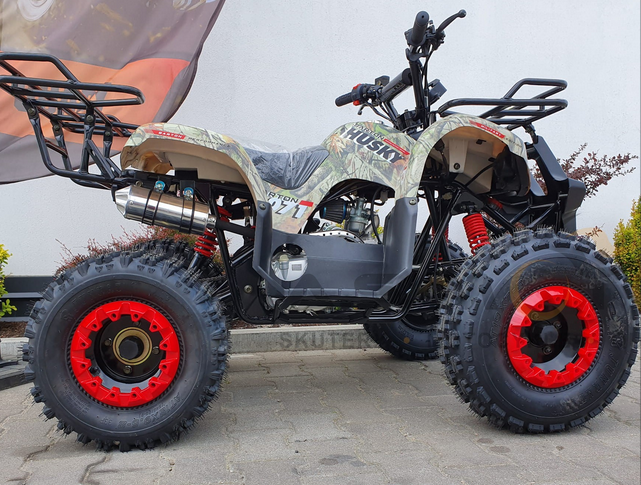 Force 125cc Combustion Quad 8